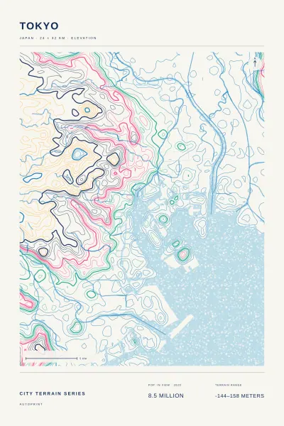 Tokyo terrain poster