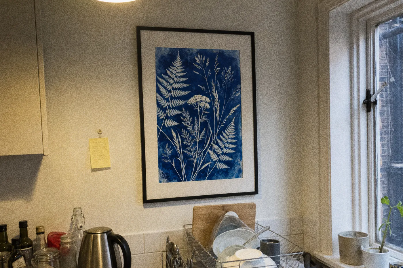 A cyanotype of ferns, framed, in a white kitchen